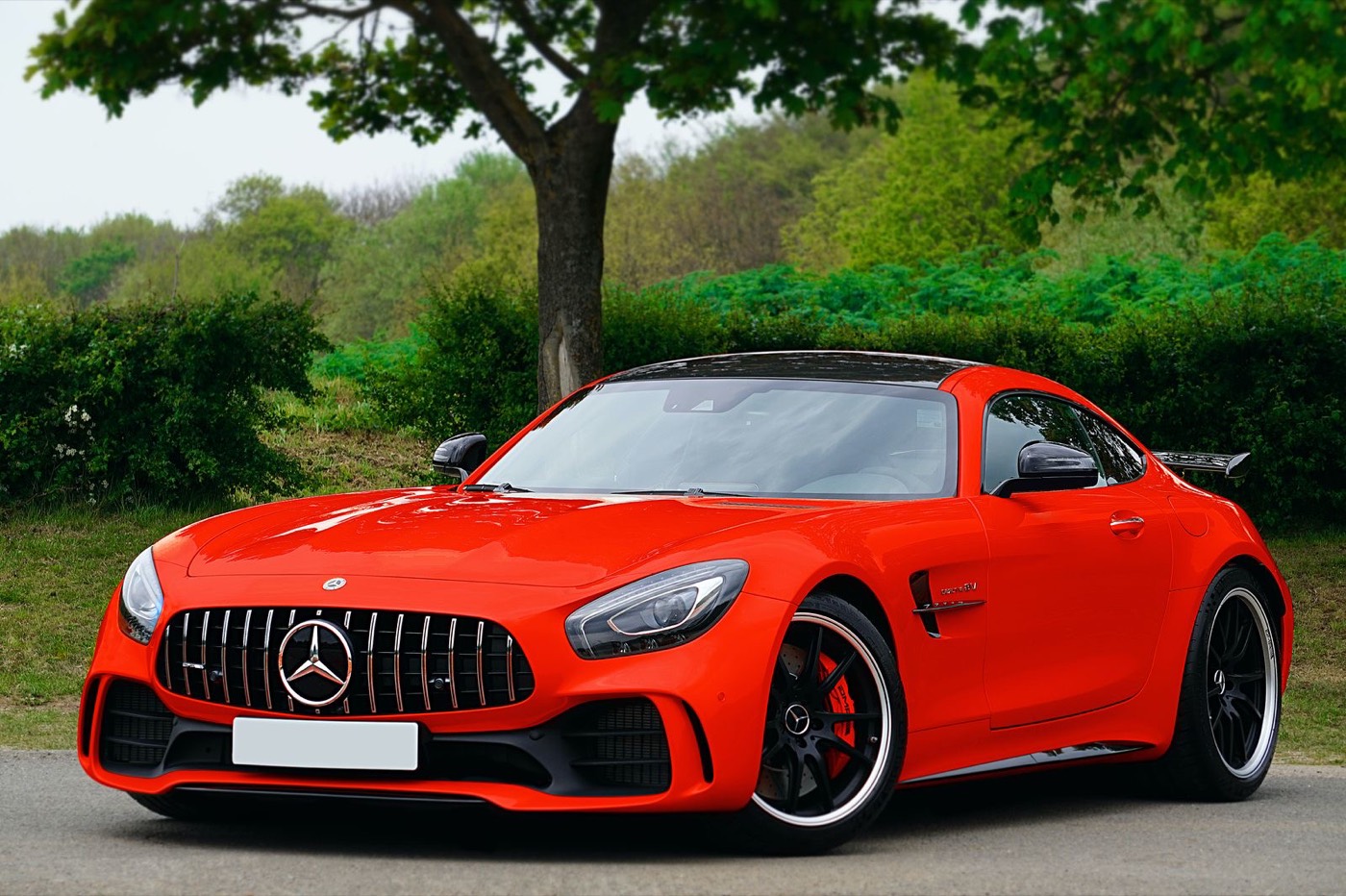 Mercedes-AMG AMG GT 53